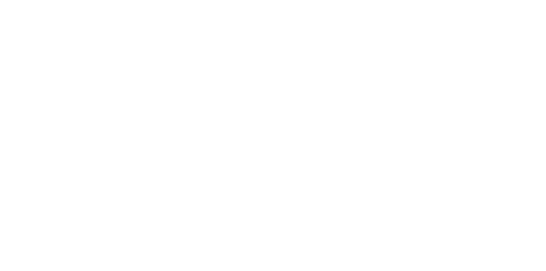 dutch led logo